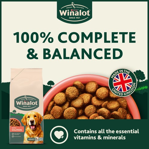 Winalot Salmon Dry Dog Food