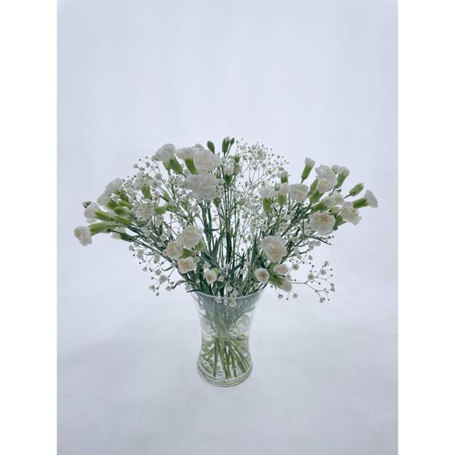 Morrisons Christmas Carnations