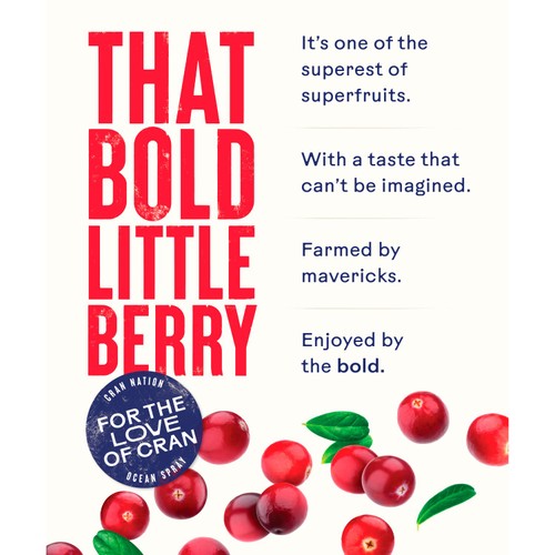 Ocean Spray Cranberry Light Juice Drink