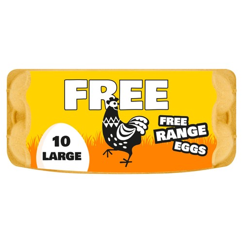 Big n Free Large Free Range Eggs 10 pack