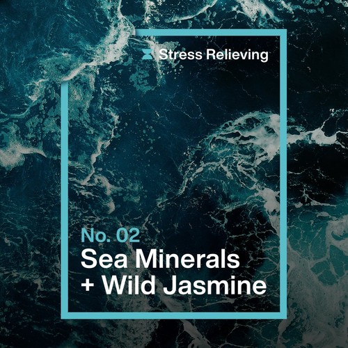 Ineos Anti-Bacterial Multi Room Spray Sea Minerals & Jasmine 