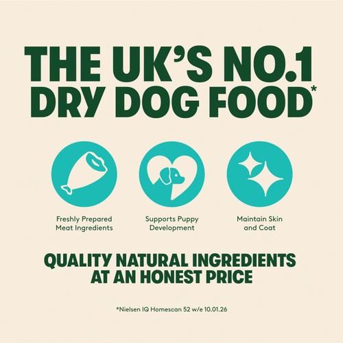 Harringtons Dry Puppy Food Rich in Turkey & Rice 