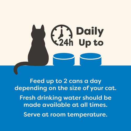 Applaws Cat Tin Fish Collection 12 X 70G