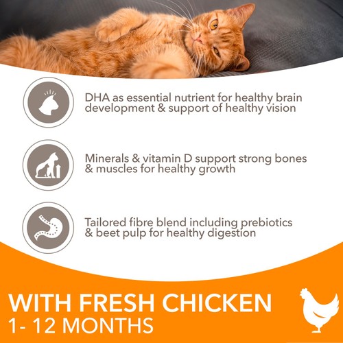 Iams For Vitality Kitten 1-12 Months With Chicken