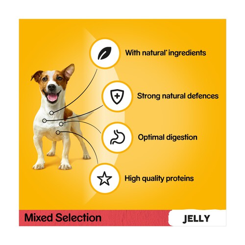 Pedigree Wet Dog Food Pouches Mixed Variety in Jelly