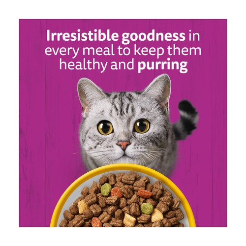 Whiskas Senior 7+ Dry Cat Food In Chicken