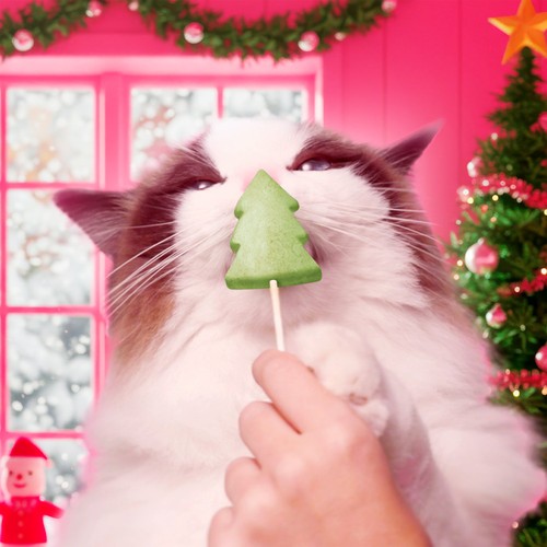 Bonkers Limited Edition Purrpops Lovey Licks Flavor Cat Treats    5 pack
