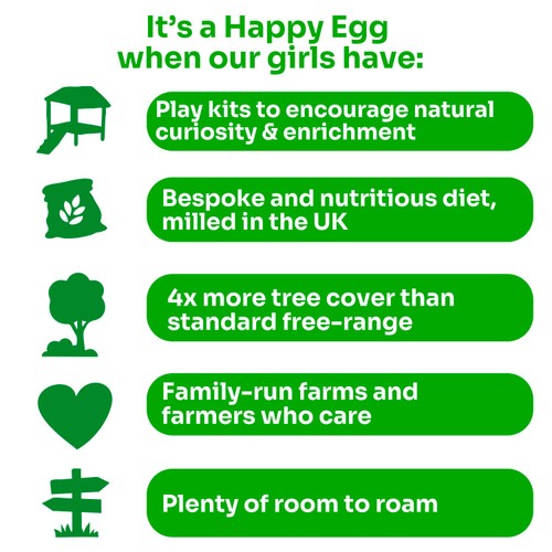 Happy Egg Company 10 Large Free Range Eggs