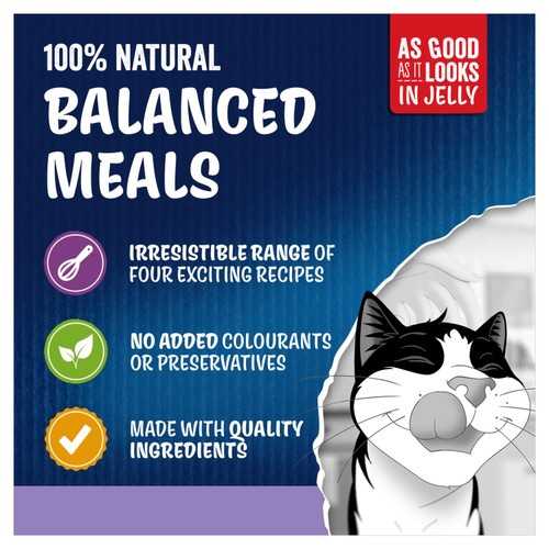 FELIX As Good As It Looks Kitten Mixed Selection In Jelly 40x85g