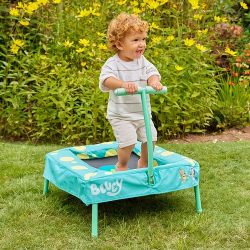 Bluey Trampoline