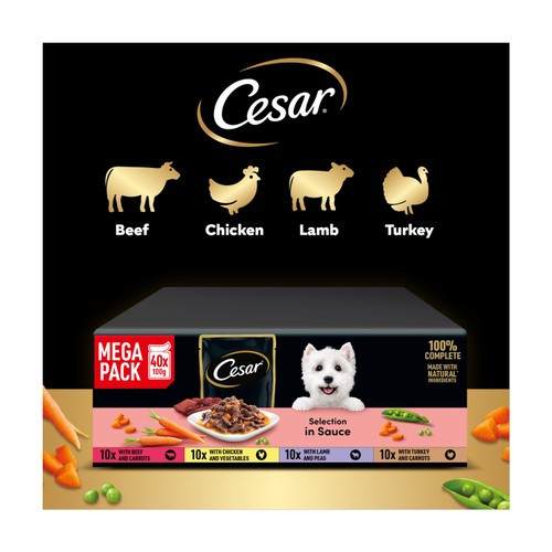 CESAR Selection Adult Wet Dog Food Mixed Selection in Sauce 40 x 100g Pouch