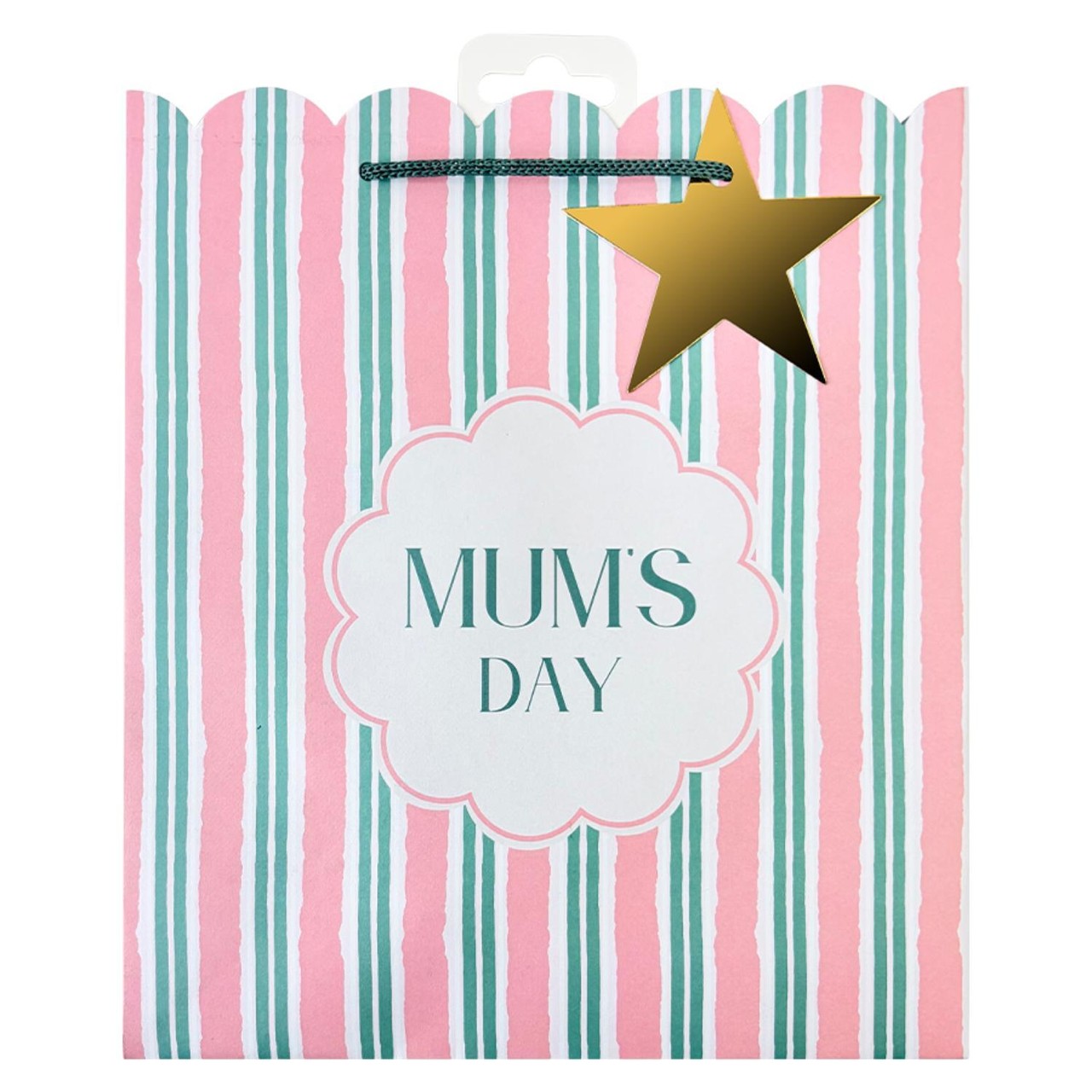 Morrisons Mother's Day Medium Stripe Gift Bag