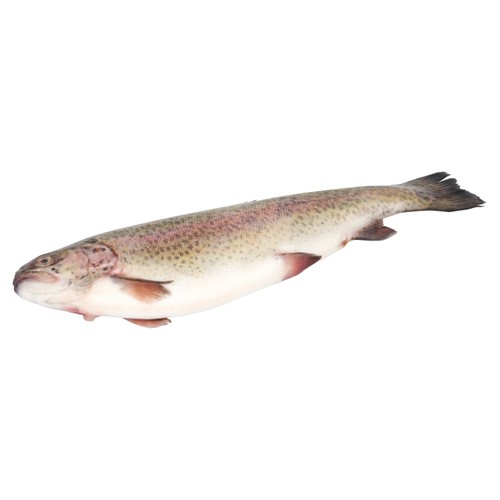 Morrisons British Whole Rainbow Trout 840g