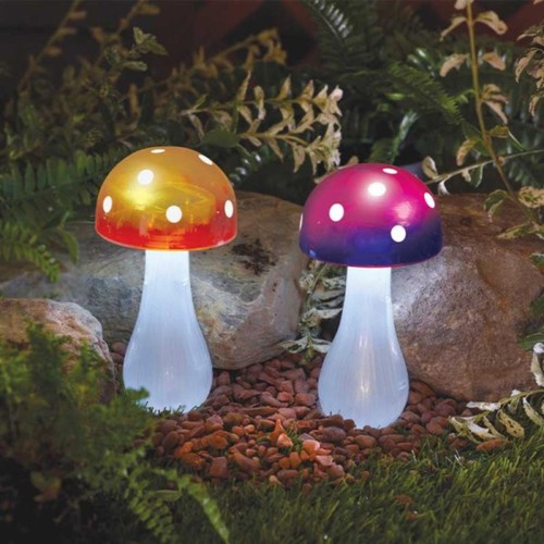 Nutmeg Solar Button Shroom