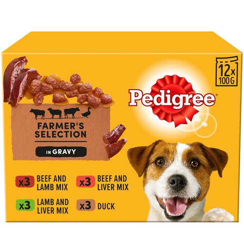 Pedigree Adult Wet Dog Food Pouches Mixed in Gravy 