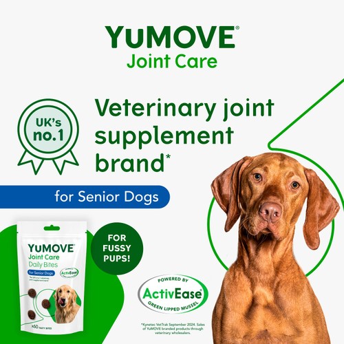 Yumove Joint Care Bites For Senior Dogs 60pk