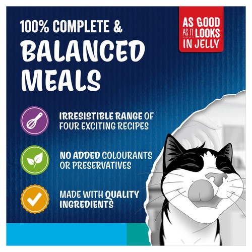 Felix Doubly Delicious Fish Selection in Jelly Wet Cat Food 12x85g