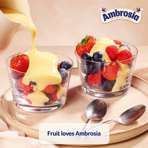 Ambrosia Devon Custard Dessert Can 400g