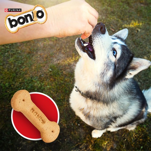 Bonio Original Dog Biscuits 
