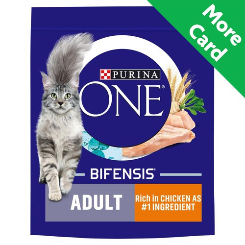 Purina ONE Adult Dry Cat Food Rich in Chicken 800g