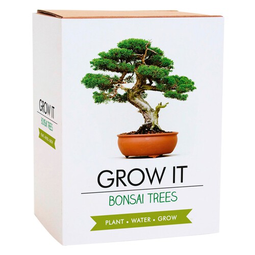 Gift Republic Bonsai Trees Grow It One Size 215g