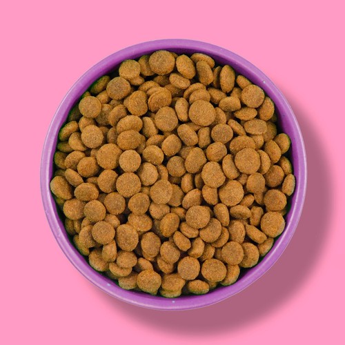 Wagg Wheat Free Dry Adult Dog Food In Chicken & Rice