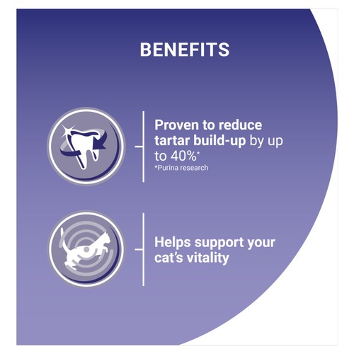 Purina ONE Adult Dry Cat Food Rich in Salmon 3kg