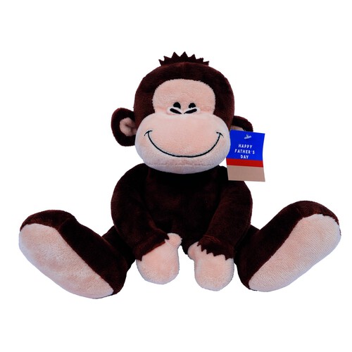 Morrisons Fathers Day Medium Monkey Plush Monkey Plush 22cm