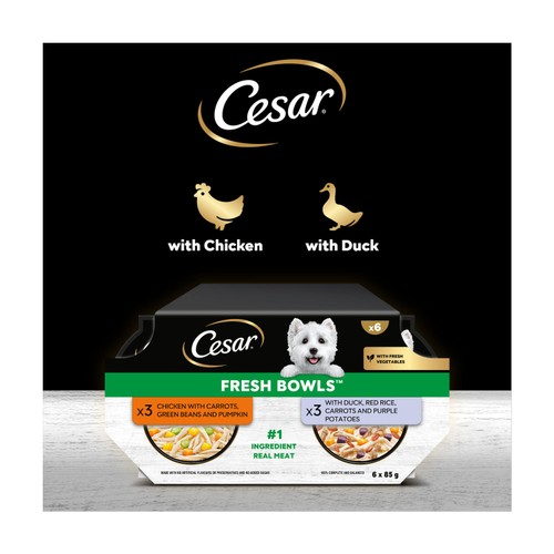 Cesar Fresh Bowls Wet Dog Food Mixed Selection In Gravy 6 x 85g
