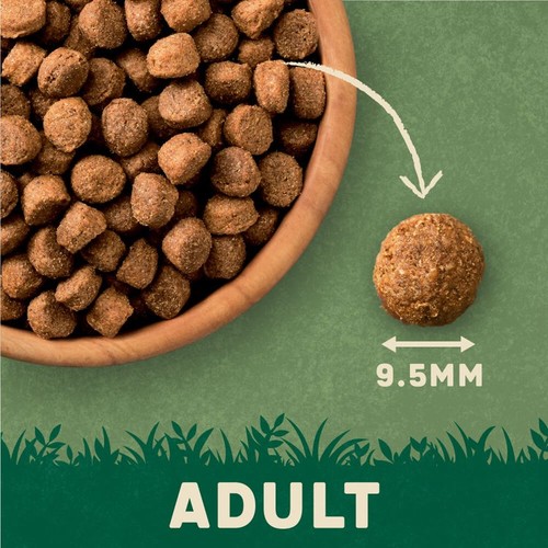 Harringtons Rich in Lamb & Rice Small Adult Dog Food 1kg