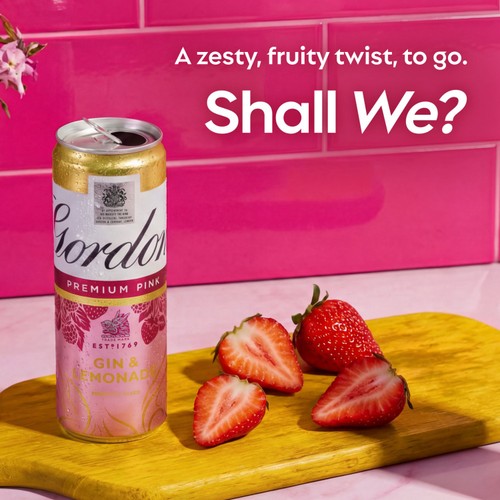 Gordon's Premium Pink Gin & Lemonade 5% vol Ready to Drink Can