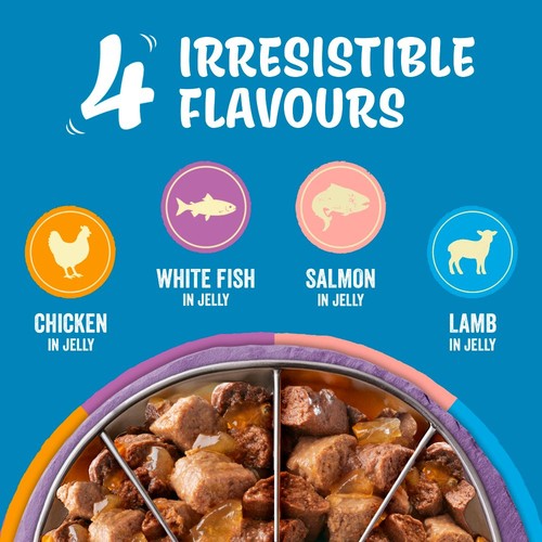 Felix Original Senior 7+ Mixed Selection in Jelly Wet Cat Food 40x85g