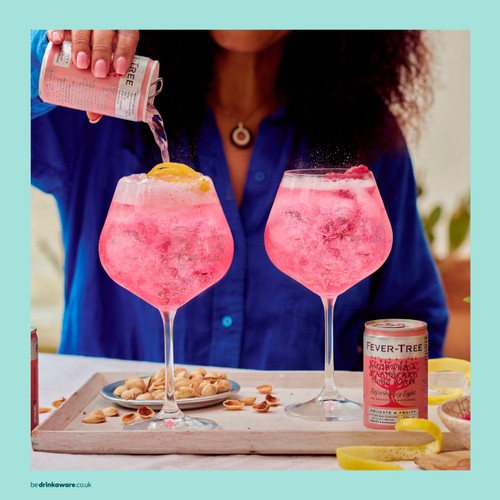 Fever-Tree Light Rhubarb & Raspberry Tonic 