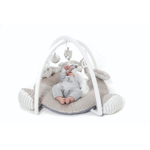 Babyzee Bear Necessities Play Gym