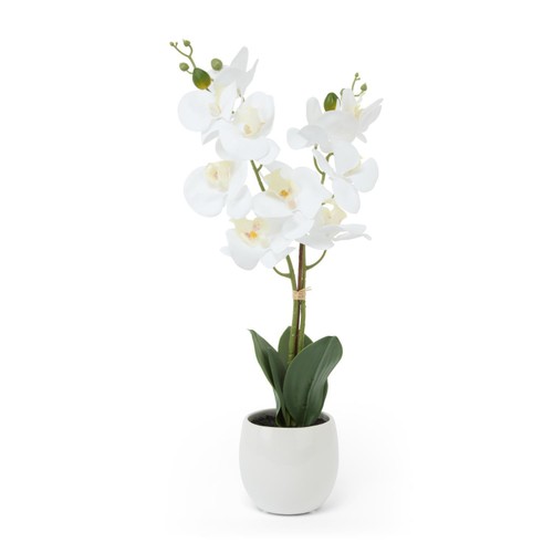 Nutmeg Home Orchid Faux Floral