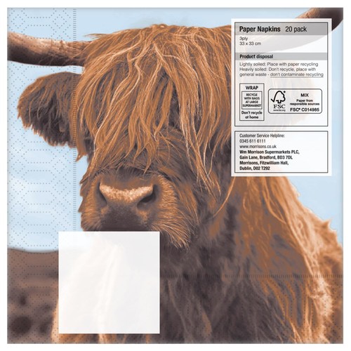 Nutmeg Highland Cow Napkins 20 Pack