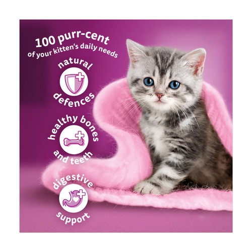 Dry Cat Best Cat Food For Month Old Kitten Whiskas Kitten Chicken