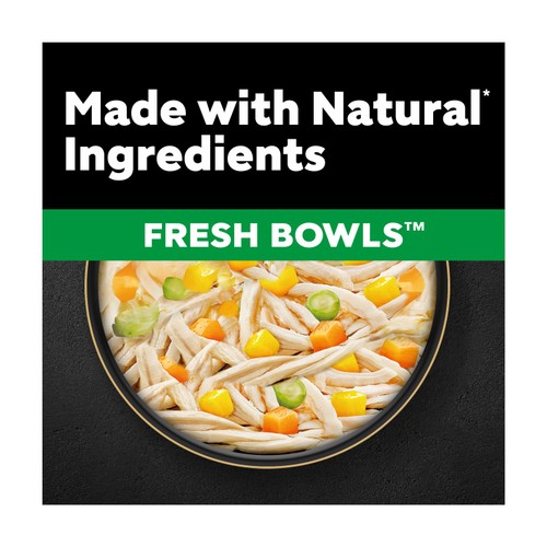 CESAR Fresh Bowl Adult Wet Dog Food with Chicken & Vegetables in Gravy 85g