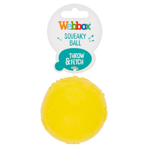 Webbox Squeaky Ball Dog Toy