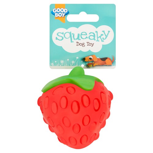 Good Boy Squeaky Fruit Dog Toy