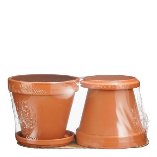 Morrisons Terracotta 2 Pack Pots