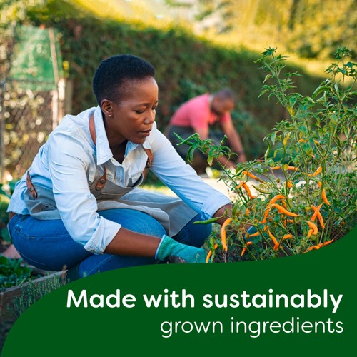 Knorr Vegetable Stock Pot 8 Pack