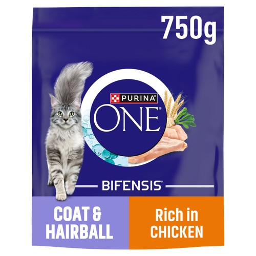 Purina ONE Adult Dry Cat Food Coat & Hairball, Rich in Chicken 750g