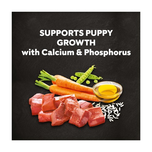 Cesar Dog Complete Dry Puppy With Chicken, Rice And Vegatables 1.4Kg