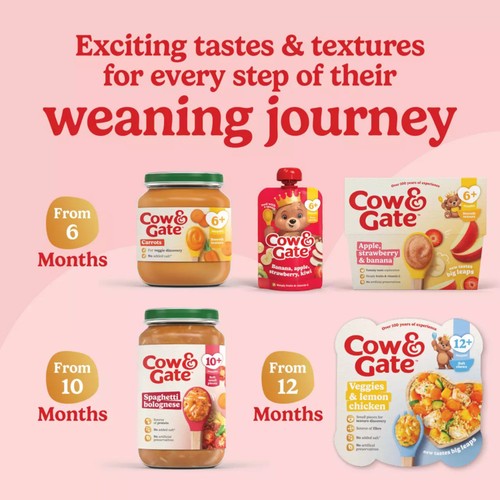 Cow & Gate Cauliflower Baby Food Snack Jar 6+ Months