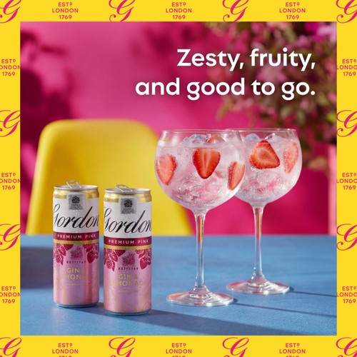 Gordon's Premium Pink Gin & Lemonade 5% vol Ready to Drink Can