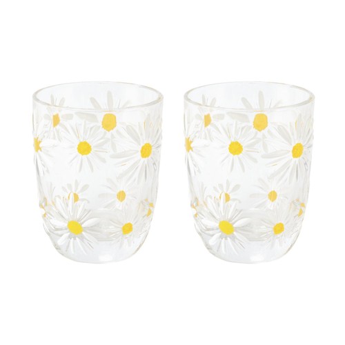 Nutmeg Home Daisy Embossed 2 Pack Glass Tumbler