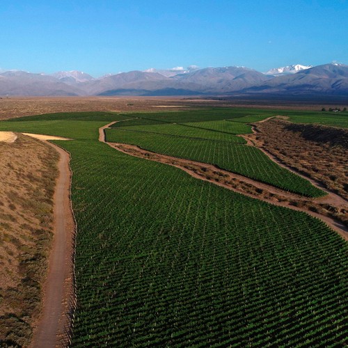 Vinalba Patagonia Malbec