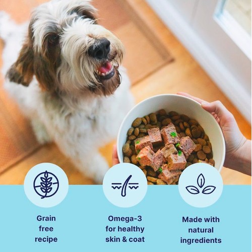 Tails.Com Inner Vitality Sensitive Adult Chicken & Cod Tray 150g