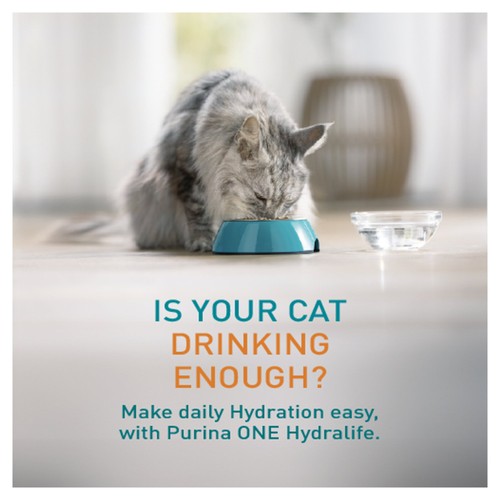 PURINA ONE HYDRALIFE with Chicken Liquid Cat Supplement 6x50g
